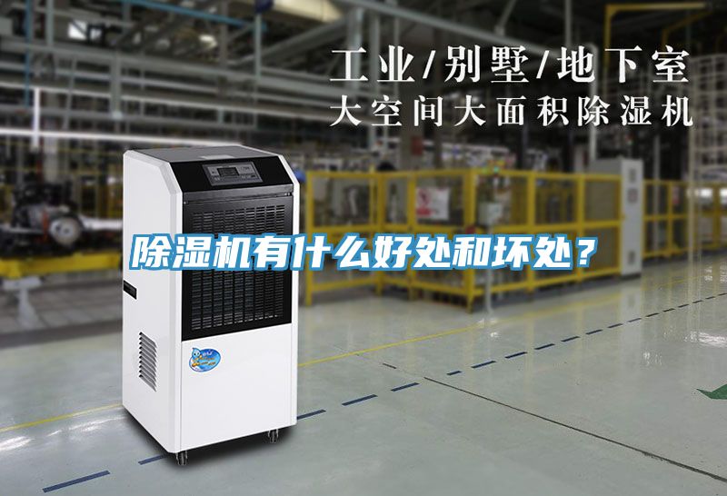 除濕機有什么好處和壞處？