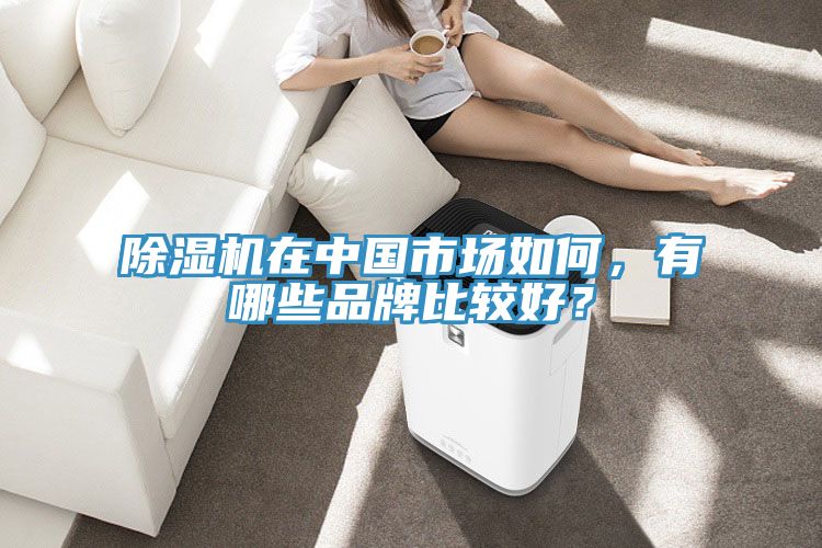 除濕機(jī)在中國市場(chǎng)如何，有哪些品牌比較好？