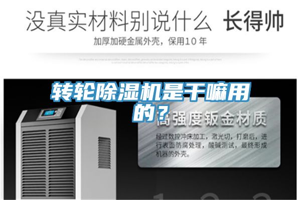 轉(zhuǎn)輪除濕機是干嘛用的？