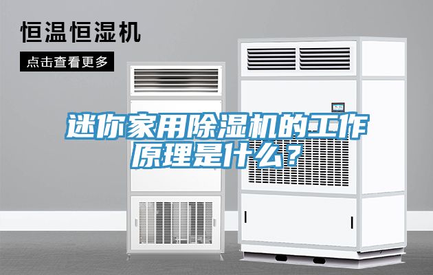 迷你家用除濕機(jī)的工作原理是什么？