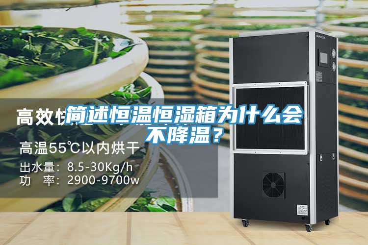 簡(jiǎn)述恒溫恒濕箱為什么會(huì)不降溫？