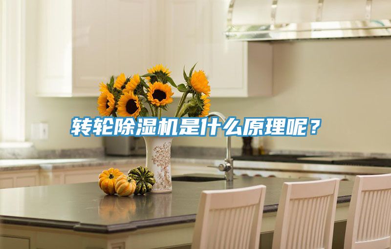 轉(zhuǎn)輪除濕機是什么原理呢？