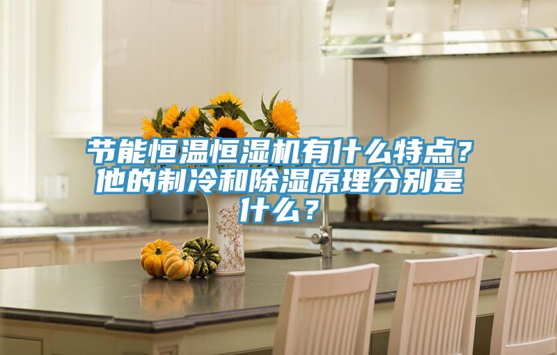 節(jié)能恒溫恒濕機(jī)有什么特點(diǎn)？他的制冷和除濕原理分別是什么？