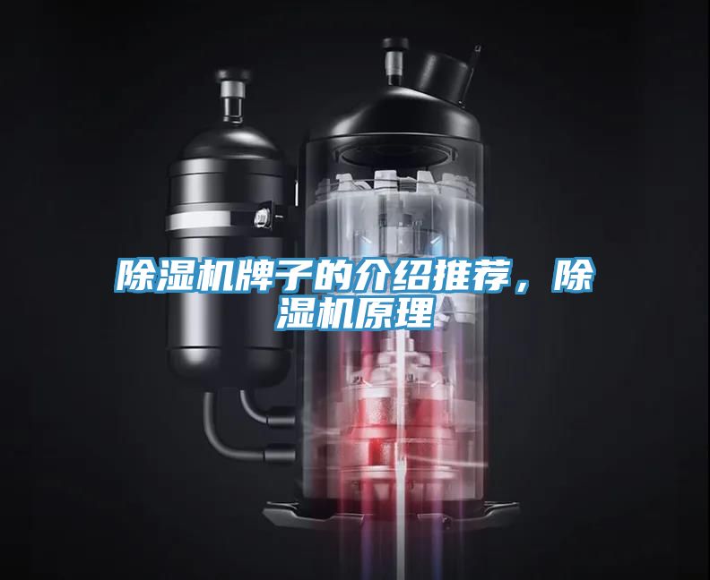 除濕機(jī)牌子的介紹推薦，除濕機(jī)原理