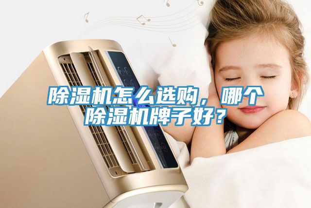 除濕機怎么選購，哪個除濕機牌子好？
