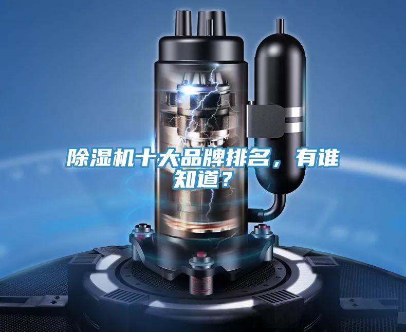 除濕機十大品牌排名，有誰知道？