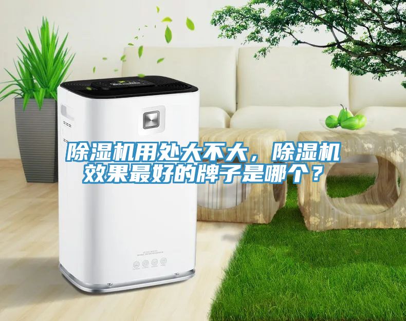 除濕機(jī)用處大不大，除濕機(jī)效果最好的牌子是哪個(gè)？