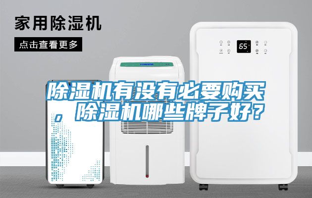 除濕機(jī)有沒有必要購買，除濕機(jī)哪些牌子好？