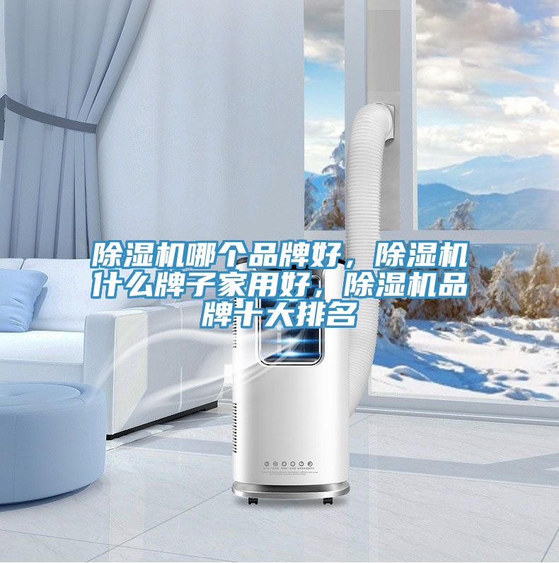 除濕機(jī)哪個品牌好，除濕機(jī)什么牌子家用好，除濕機(jī)品牌十大排名