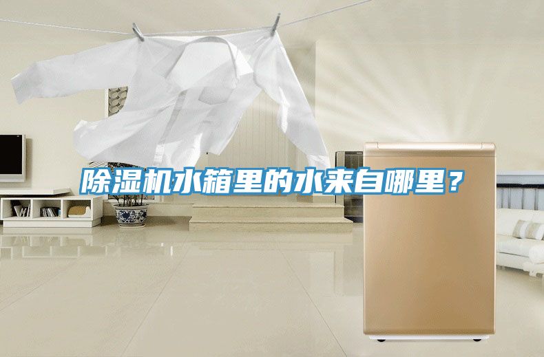 除濕機(jī)水箱里的水來自哪里？