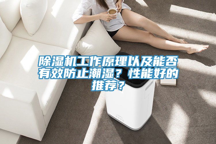 除濕機(jī)工作原理以及能否有效防止潮濕？性能好的推薦？