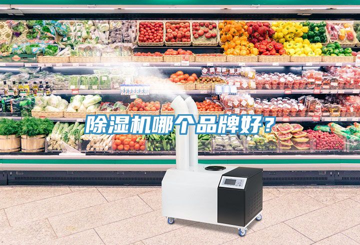 除濕機(jī)哪個品牌好？