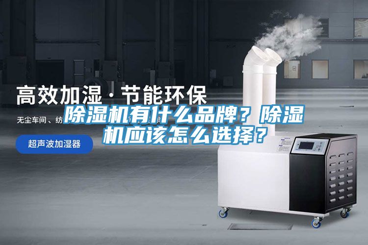 除濕機有什么品牌？除濕機應(yīng)該怎么選擇？