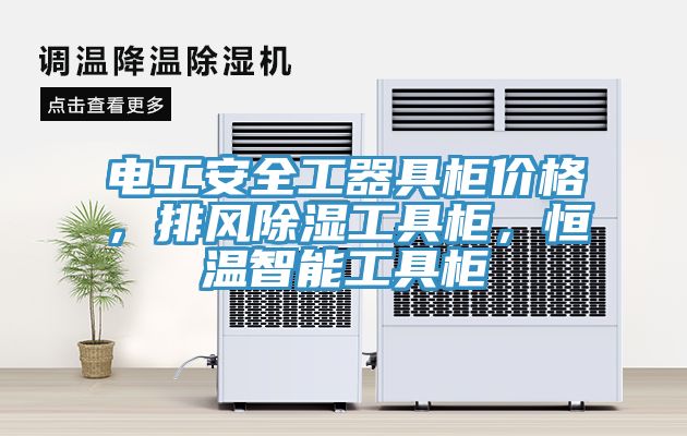 電工安全工器具柜價格，排風(fēng)除濕工具柜，恒溫智能工具柜