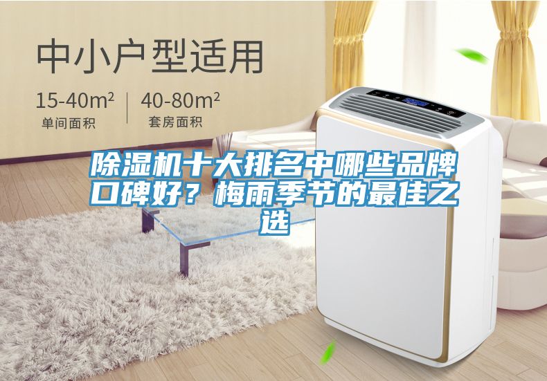 除濕機十大排名中哪些品牌口碑好？梅雨季節(jié)的最佳之選
