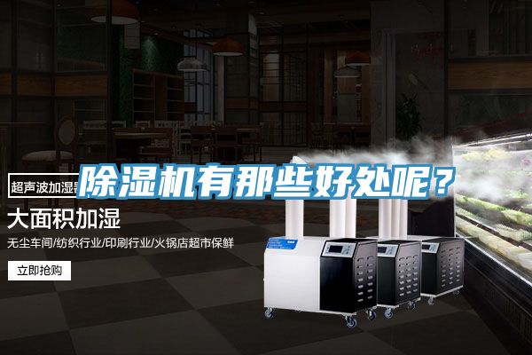 除濕機(jī)有那些好處呢？