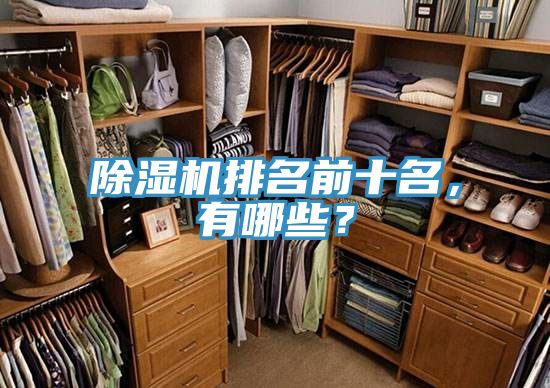 除濕機(jī)排名前十名，有哪些？