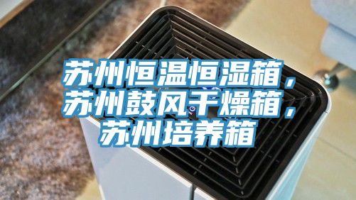 蘇州恒溫恒濕箱，蘇州鼓風(fēng)干燥箱，蘇州培養(yǎng)箱