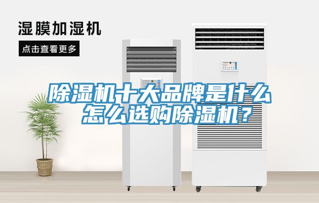 除濕機十大品牌是什么 怎么選購除濕機？