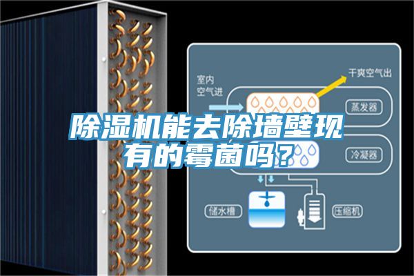 除濕機(jī)能去除墻壁現(xiàn)有的霉菌嗎？