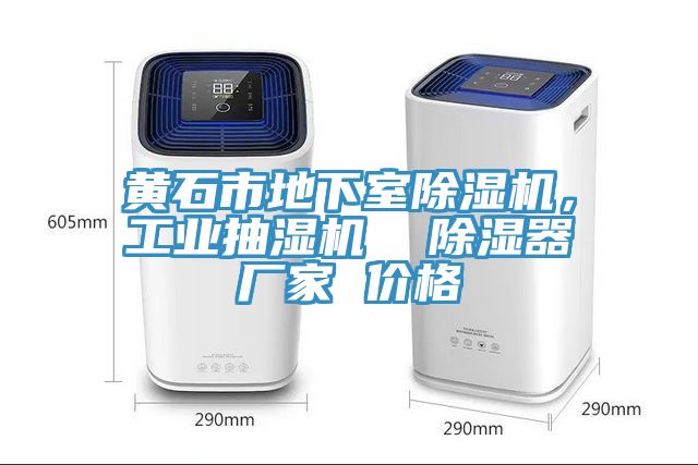 黃石市地下室除濕機，工業(yè)抽濕機  除濕器廠家 價格