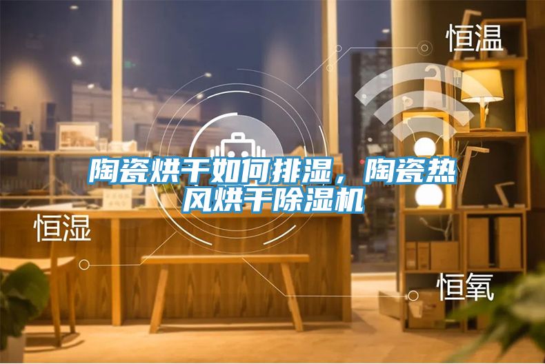 陶瓷烘干如何排濕，陶瓷熱風(fēng)烘干除濕機(jī)