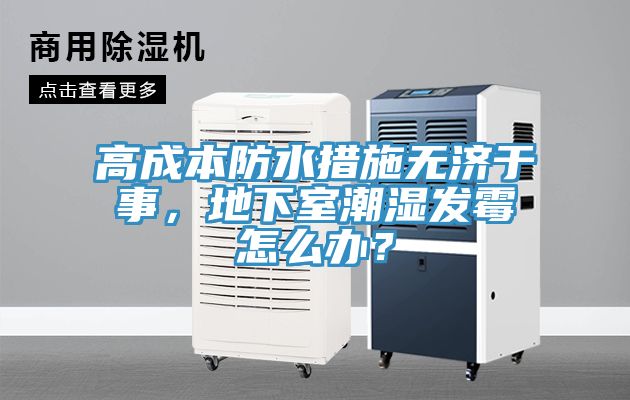 高成本防水措施無(wú)濟(jì)于事，地下室潮濕發(fā)霉怎么辦？