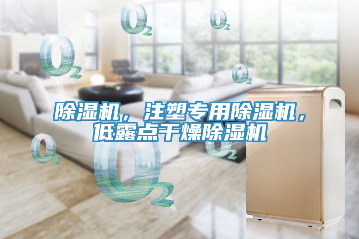 除濕機(jī)，注塑專用除濕機(jī)，低露點(diǎn)干燥除濕機(jī)