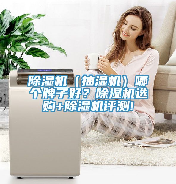 除濕機（抽濕機）哪個牌子好？除濕機選購+除濕機評測!