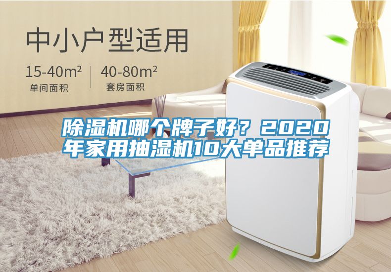 除濕機哪個牌子好？2020年家用抽濕機10大單品推薦