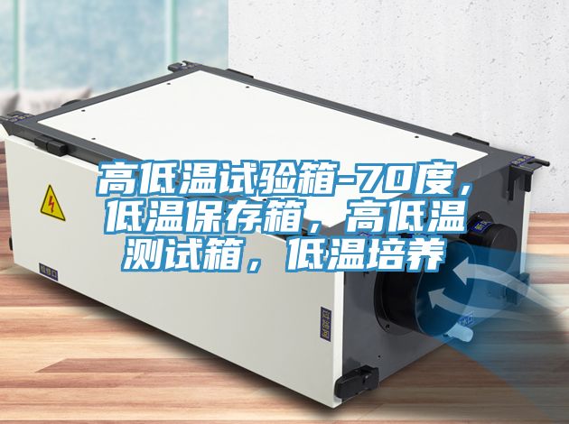 高低溫試驗箱-70度，低溫保存箱，高低溫測試箱，低溫培養(yǎng)