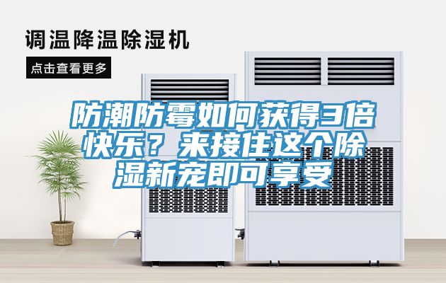 防潮防霉如何獲得3倍快樂？來接住這個除濕新寵即可享受