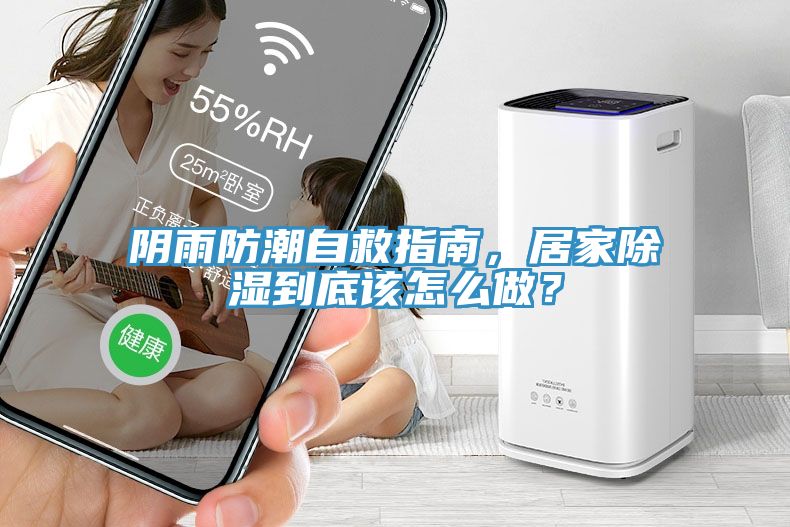 陰雨防潮自救指南，居家除濕到底該怎么做？