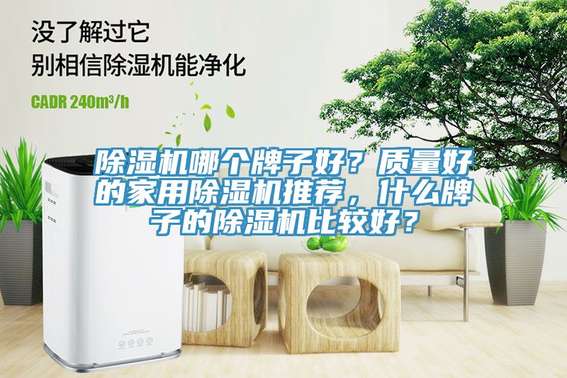 除濕機哪個牌子好？質(zhì)量好的家用除濕機推薦，什么牌子的除濕機比較好？