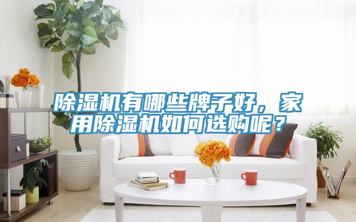 除濕機(jī)有哪些牌子好，家用除濕機(jī)如何選購(gòu)呢？