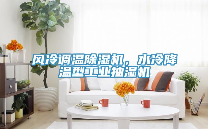 風(fēng)冷調(diào)溫除濕機，水冷降溫型工業(yè)抽濕機