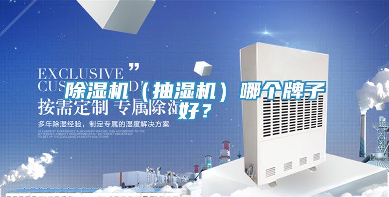 除濕機（抽濕機）哪個牌子好？