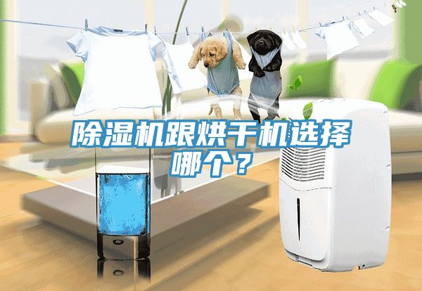除濕機(jī)跟烘干機(jī)選擇哪個(gè)？