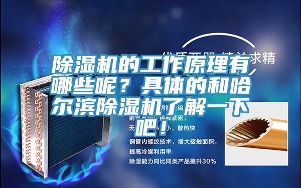 除濕機(jī)的工作原理有哪些呢？具體的和哈爾濱除濕機(jī)了解一下吧！