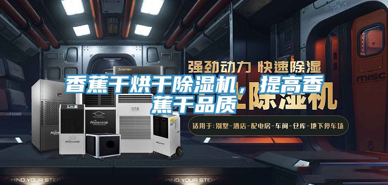 香蕉干烘干除濕機(jī)，提高香蕉干品質(zhì)