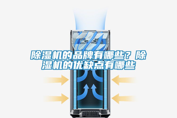 除濕機(jī)的品牌有哪些？除濕機(jī)的優(yōu)缺點(diǎn)有哪些