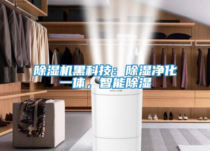 除濕機(jī)黑科技：除濕凈化一體，智能除濕