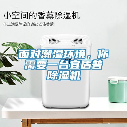 面對(duì)潮濕環(huán)境，你需要一臺(tái)宜盾普除濕機(jī)