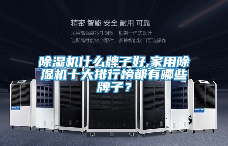 除濕機(jī)什么牌子好,家用除濕機(jī)十大排行榜都有哪些牌子？