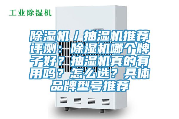 除濕機／抽濕機推薦評測：除濕機哪個牌子好？抽濕機真的有用嗎？怎么選？具體品牌型號推薦