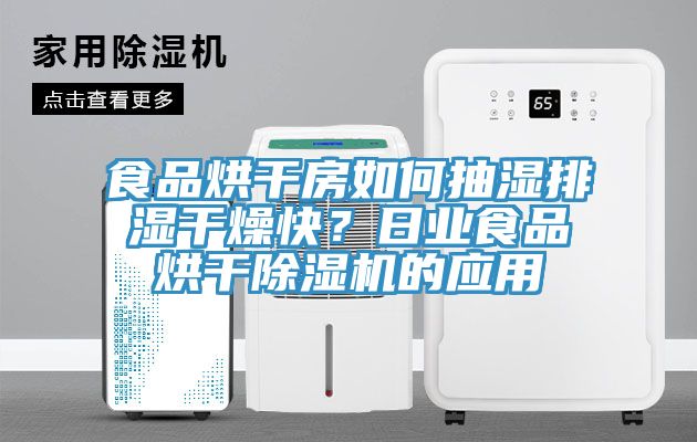 食品烘干房如何抽濕排濕干燥快？日業(yè)食品烘干除濕機(jī)的應(yīng)用