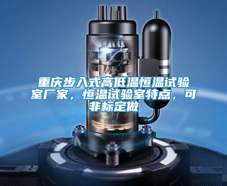 重慶步入式高低溫恒溫試驗室廠家，恒溫試驗室特點，可非標定做