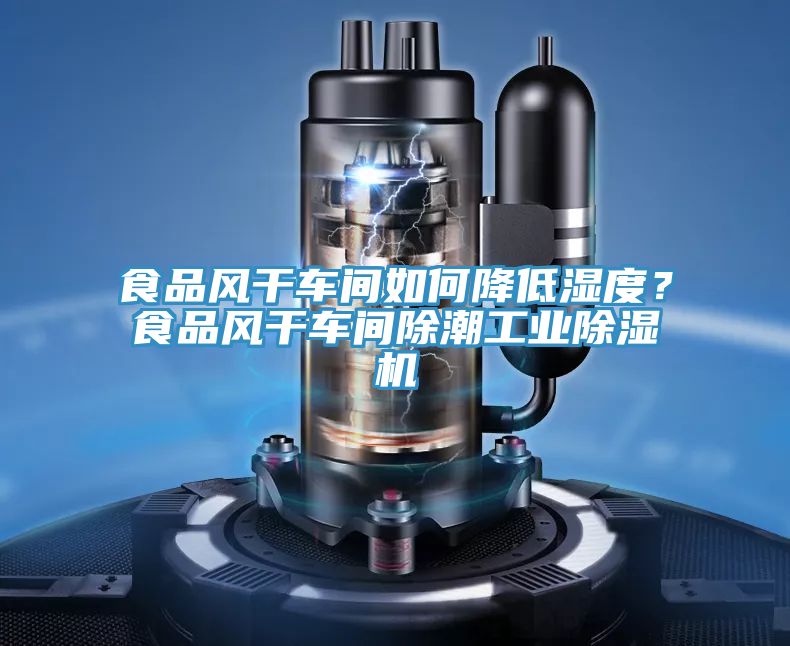 食品風(fēng)干車間如何降低濕度？食品風(fēng)干車間除潮工業(yè)除濕機(jī)