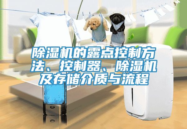 除濕機的露點控制方法、控制器、除濕機及存儲介質(zhì)與流程