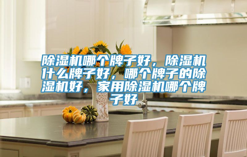除濕機(jī)哪個(gè)牌子好，除濕機(jī)什么牌子好，哪個(gè)牌子的除濕機(jī)好，家用除濕機(jī)哪個(gè)牌子好
